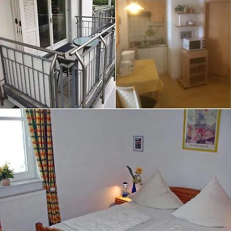 Seeloewe - Arkonablick