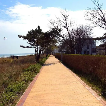 Seeloewe - Arkonablick * Juliusruh