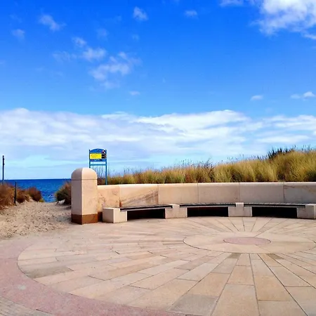 Seeloewe - Arkonablick