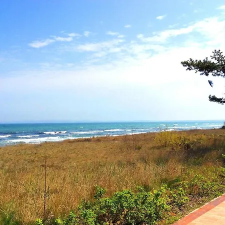 Seeloewe - Arkonablick *