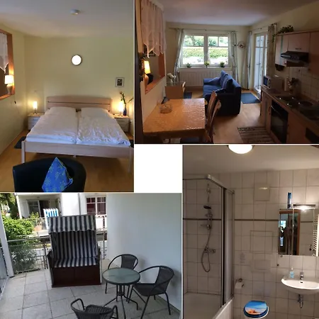 Seeloewe - Arkonablick * Juliusruh