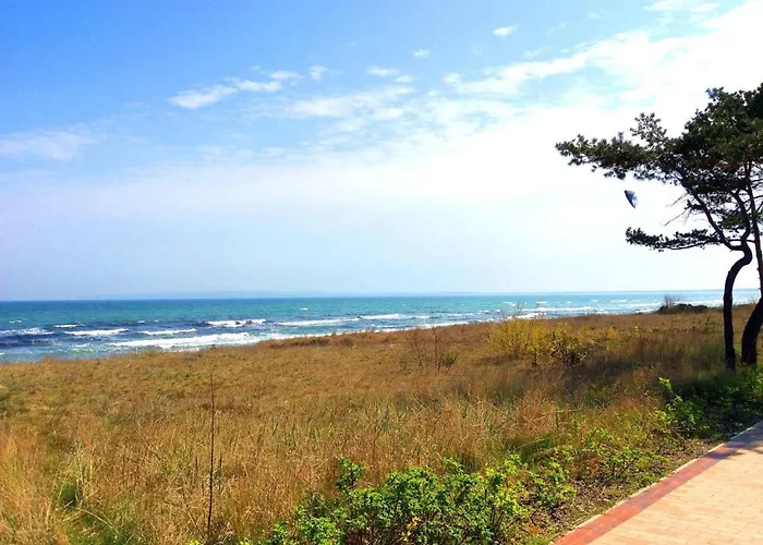 Seeloewe - Arkonablick *